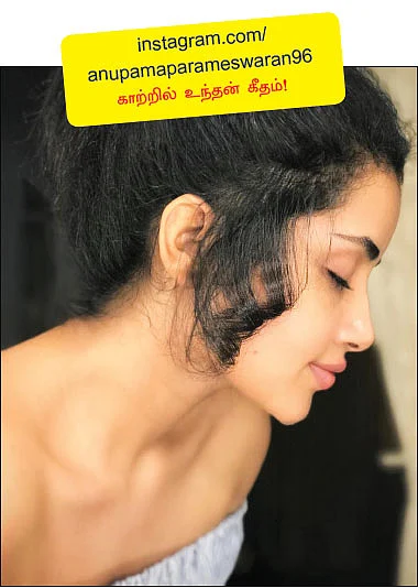 வலைபாயுதே