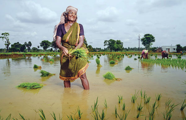 அந்தக் கணம்... அது ஒரு தரிசனம்!