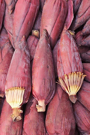 நலம் தரும் நாட்டுக்காய்கள்