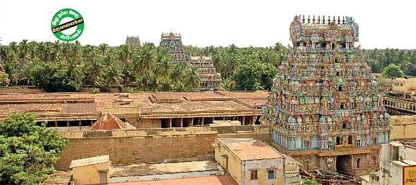 சிவாஜியின் இன்னொரு பாசமலர்!