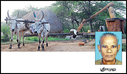 நீங்கள் கேட்டவை : 'கோழித் தீவனம் தயாரிப்பது எப்படி?'