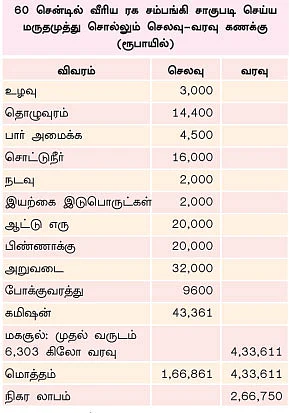 சாஃப்ட்வேர் இன்ஜினீயரின் சம்பங்கி சாகுபடி!
