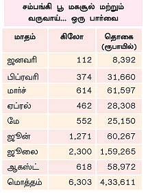 சாஃப்ட்வேர் இன்ஜினீயரின் சம்பங்கி சாகுபடி!