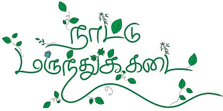 நாட்டு மருந்துக் கடை - 10