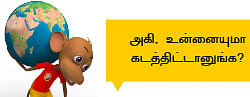 ஆபரேஷன் நோவா - 2