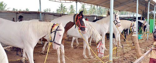 நீங்கள் கேட்டவை