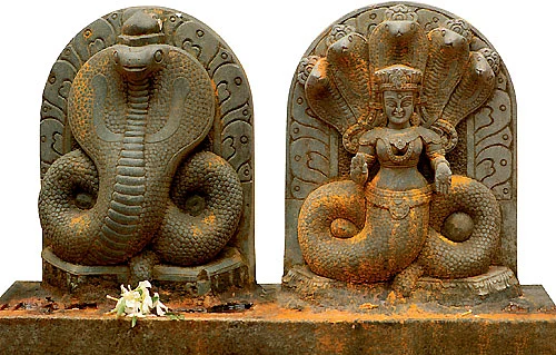 கேள்வி - பதில்