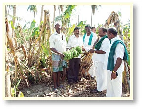 'தானே' துயர் துடைக்க... நீளட்டும் நம் கரங்கள்!