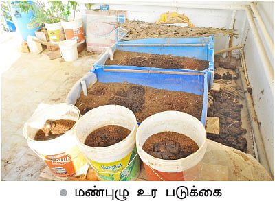 வீட்டுக்குள் விவசாயம் - 3