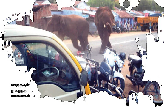 கோவைக்குள் நுழையப்போகும் யானைகள்!