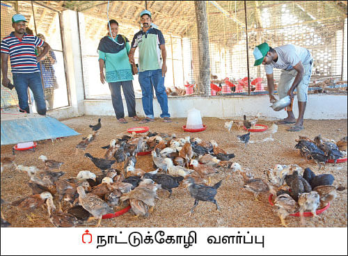 ஒரு நாள் விவசாயி! பருவம் 2 - பண்ணையை நோக்கி பயனுள்ள பயணம்