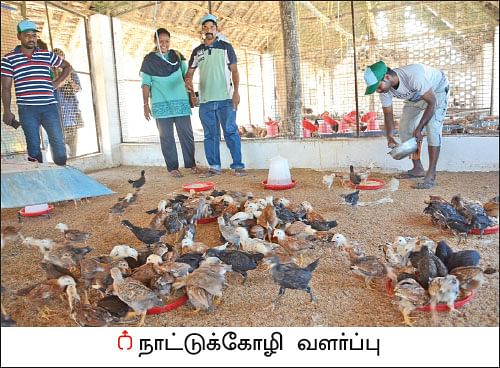 ஒரு நாள் விவசாயி! பருவம் 2 - பண்ணையை நோக்கி பயனுள்ள பயணம் 
