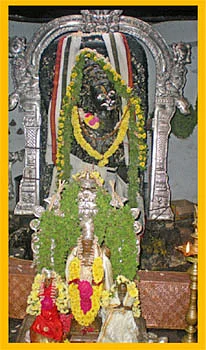 கோதானம் செய்தால் சுபிட்சம் நிச்சயம்!