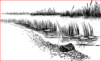 வீரயுக நாயகன் வேள்பாரி - 71