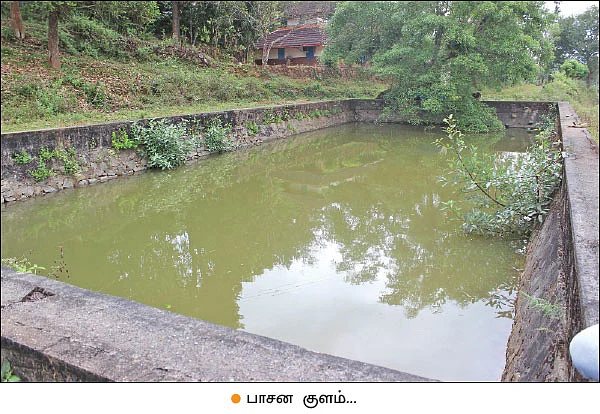 வயநாடு: பாரம்பர்ய நெல் ரகங்களை மீட்டெடுத்த பழங்குடிகள்!