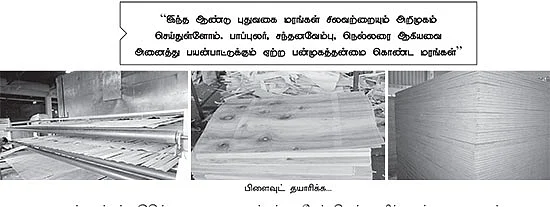 மழைக்கு மரியாதை... மரங்கள் நடுவோம்... மகசூலைப் பெறுவோம்!