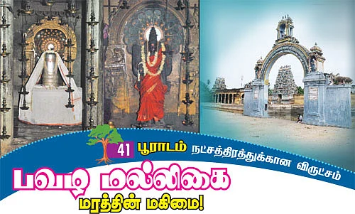 ஆரோக்கியம் அருளும் ஆலய விருட்சங்கள்!