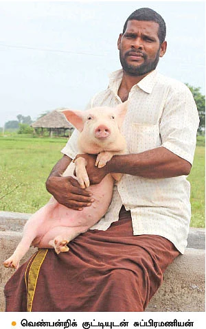 என் செல்லமே...