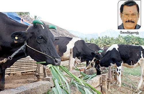 நீங்கள் கேட்டவை