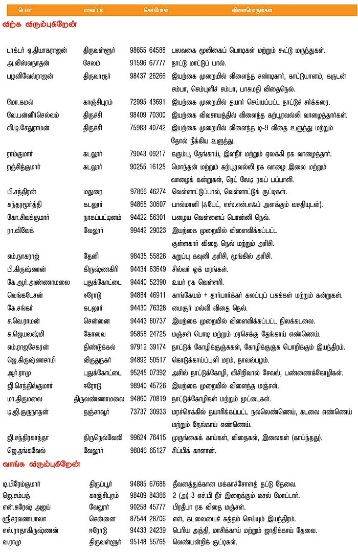 பசுமை சந்தை