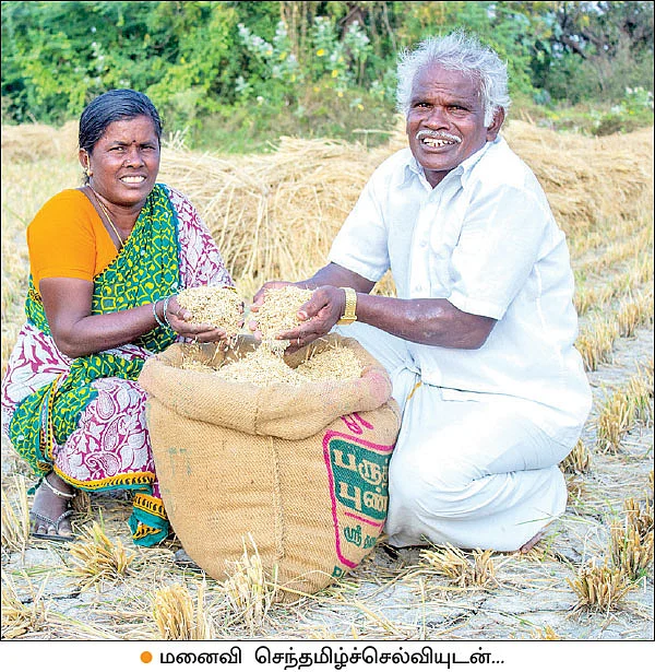 ‘கள்ளிமடையான்’ களர், உவர் மண்ணுக்கு ஏற்றது!
