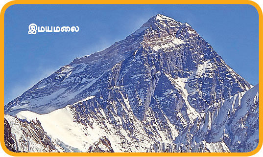 மை டியர் ஜீபா...