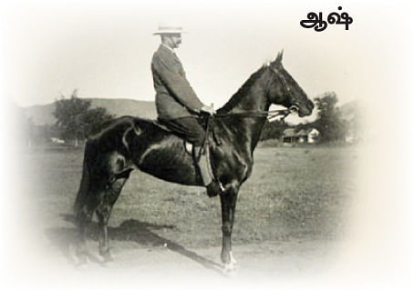 எனது இந்தியா!