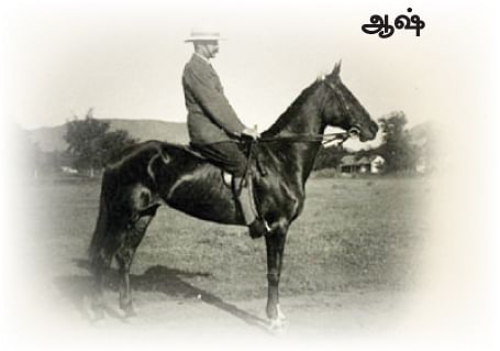 எனது இந்தியா!