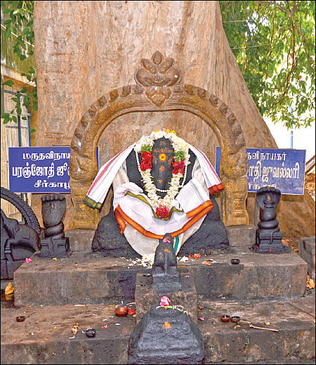 குறை தீர்க்கும் கோயில்கள் - 18 - ‘மூன்றாம் காலத்தில் மூலிகைச்சாறு!’