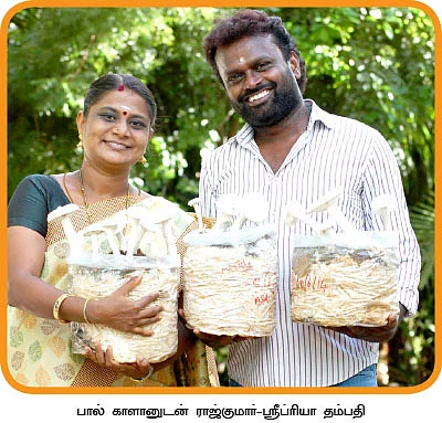 மாதம் ரூ.3 லட்சம்... பலே வருமானம் தரும் பால் காளான்...!