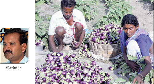 நீங்கள் கேட்டவை - புறா பாண்டி