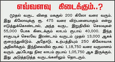 லட்சாதிபதி ஆக்கும் லாபக் கொடி!