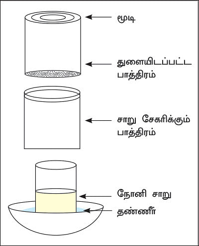 நல்மருந்து - தெரிந்த செடிகள்... தெரியாத பயன்கள்! - 9