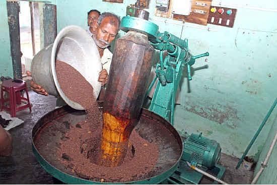 ஆயில் முதல் ஆரோக்கியம் வரை...மாடர்ன் டெக்னாலஜியை விஞ்சும் மரச்செக்கு இயந்திரம்!