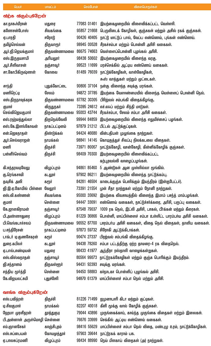 பசுமை சந்தை