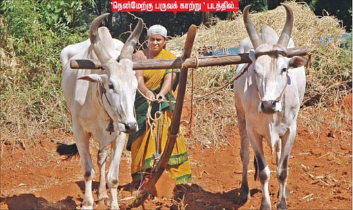 என் குழந்தைகள்தான் என் உலகம்!