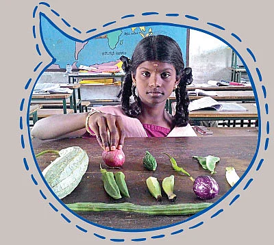 எஃப்.ஏ பக்கங்கள்