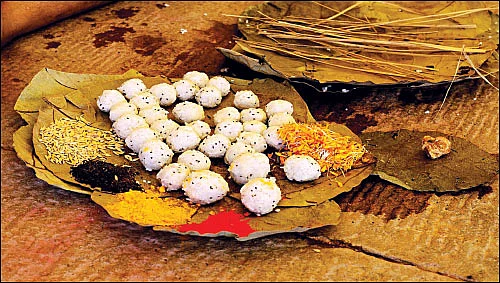 ஆடி அமாவாசை - பித்ரு தோஷம் தீர்க்கும் முன்னோர் ஆராதனை