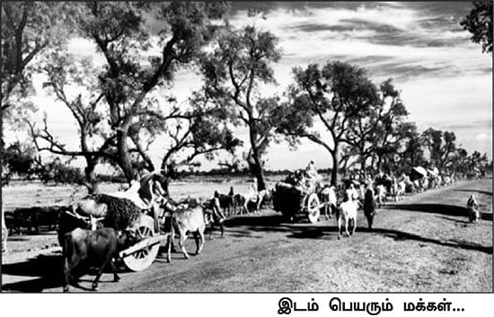 எனது இந்தியா!
