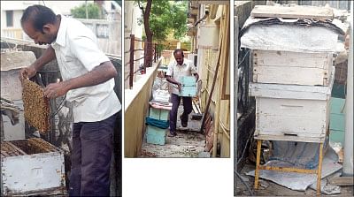நீங்கள் கேட்டவை 