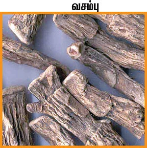ஆறாம் திணை - 89