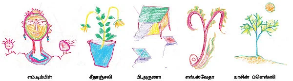 மெல்லிசா பல கோடுகள்!