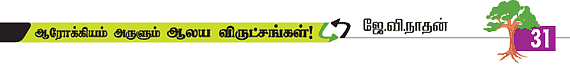 ஆரோக்கியம் அருளும் ஆலய விருட்சங்கள்!