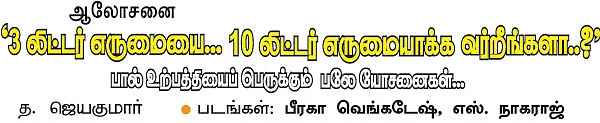 பால் உற்பத்தியைப் பெருக்கும் பலே யோசனைகள்...