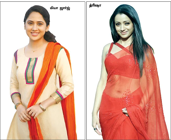 மிஸ்டர் மியாவ்