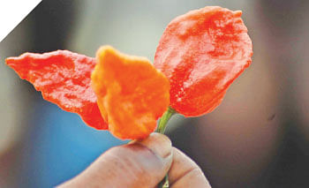 நீங்கள் கேட்டவை