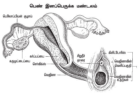 குட் நைட்!