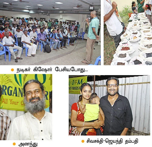 பிட்ஸ்