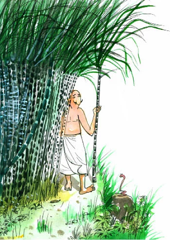 மண்புழு மன்னாரு