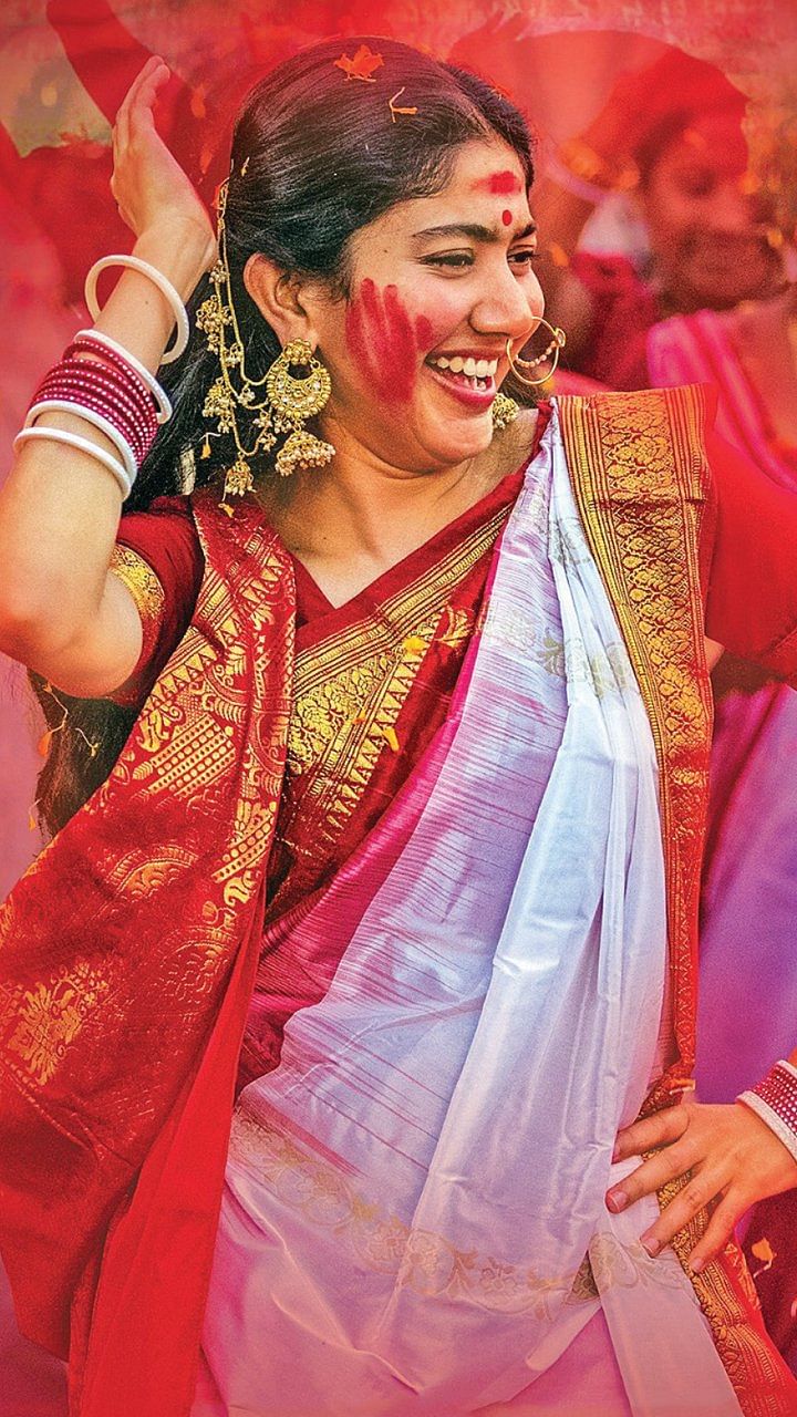 மிஸ்டர் மியாவ்